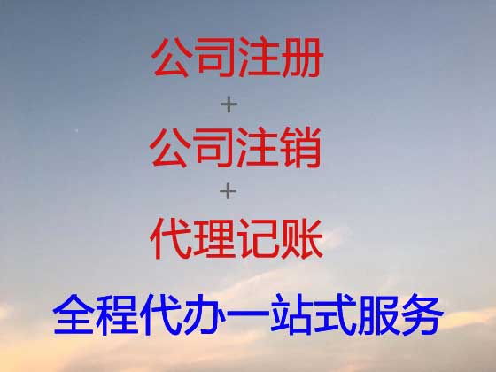 安阳公司个体户注册